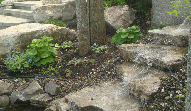 P. Fournier Paysagiste - Jardin d'eau 