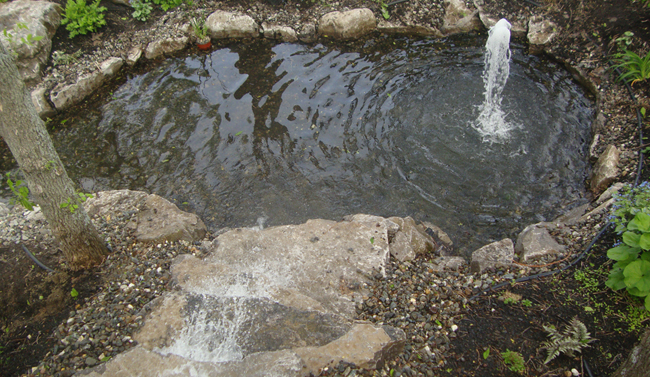 P. Fournier Paysagiste - Jardin d'eau 